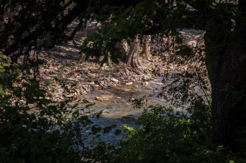 Duke'S Horseshoe House image 18